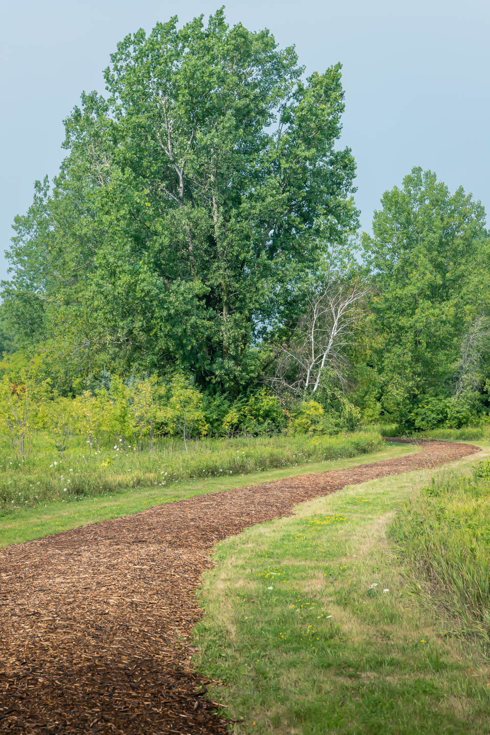 Nojoshing Trail | Nojoshing Trail, St Francis, WI 53235, USA | Phone: (414) 481-2300