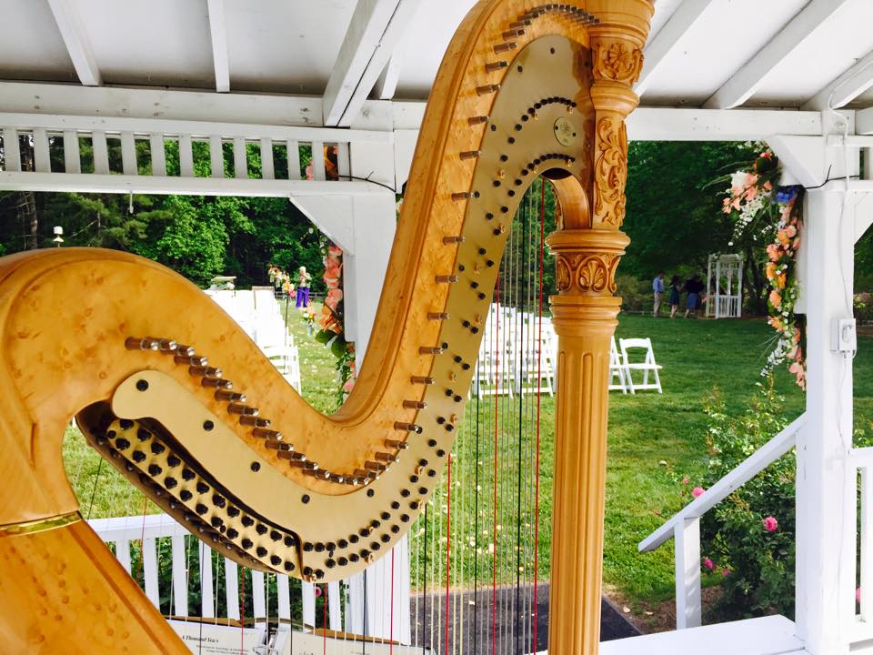 Leigh Stringfellow, Harpist | 704 Hillsborough Rd, Carrboro, NC 27510, USA | Phone: (253) 677-3060