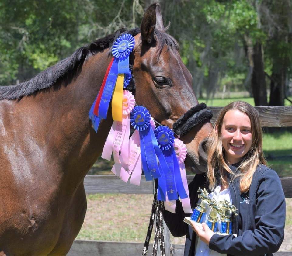 Sammon Equestrian | 5982 225th St E, Bradenton, FL 34211 | Phone: (321) 443-8892