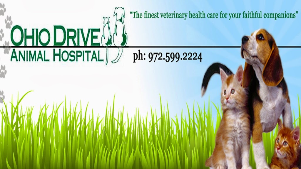 Ohio Drive Animal Hospital | 1101 Ohio Dr Suite: 104, Plano, TX 75093, USA | Phone: (972) 599-2224