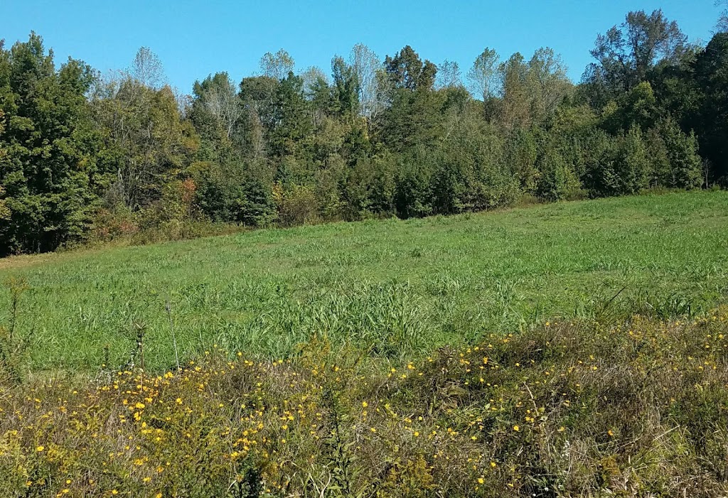 Shallow Ford Natural Area | 1955 Gerringer Mill Rd, Burlington, NC 27244, USA | Phone: (336) 270-5124