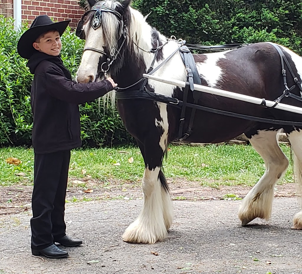 Dorvits Carriage Rides | 7141 Dennis Rd, Walnut Cove, NC 27052, USA | Phone: (336) 754-1172