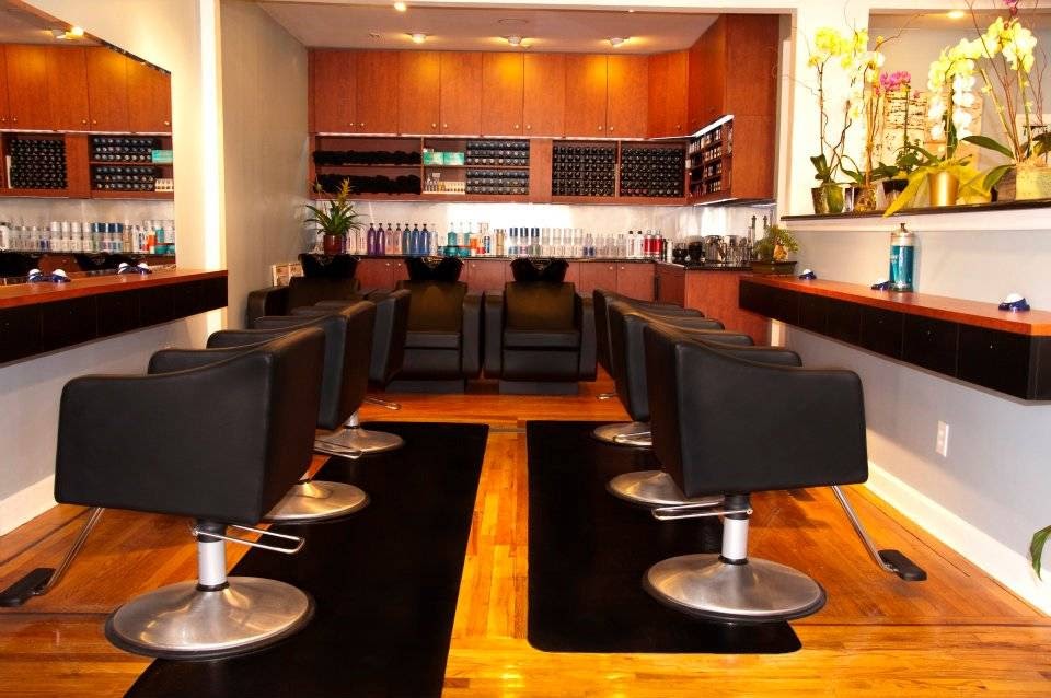 Salon Mayne | 245 Roslyn Rd, Roslyn Heights, NY 11577, USA | Phone: (516) 801-3585
