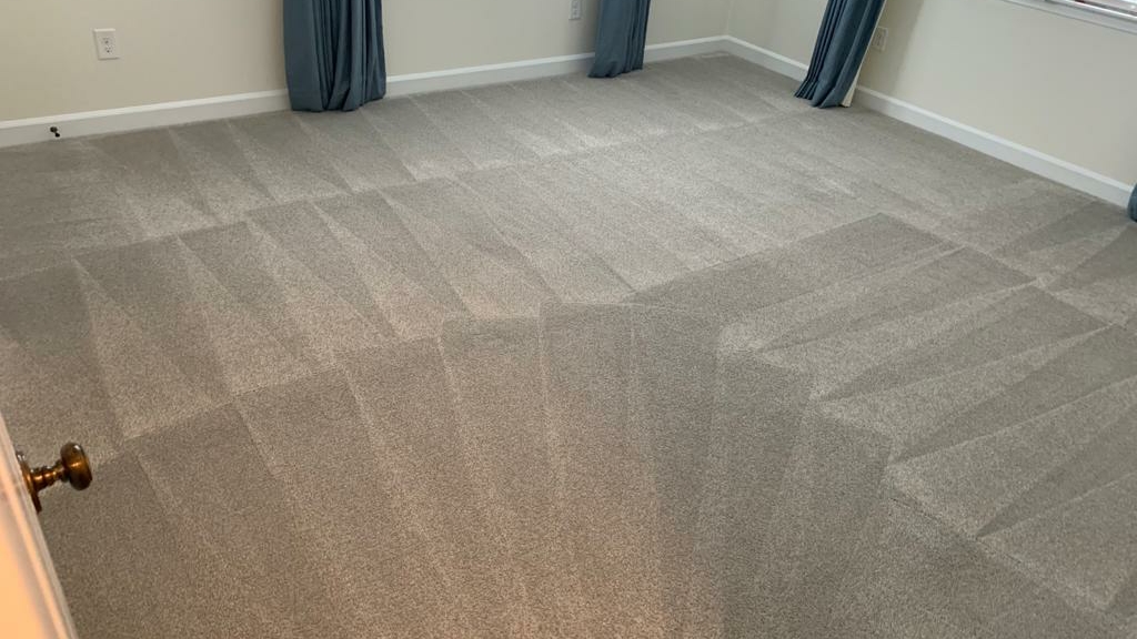 Reliable carpet cleaning | 11439 Cherry Hill Rd, Beltsville, MD 20705, USA | Phone: (240) 505-3572