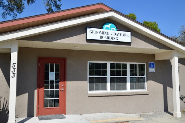 Sumter County Animal Hospital Grooming | 533 S Main St, Wildwood, FL 34785, USA | Phone: (352) 399-2254