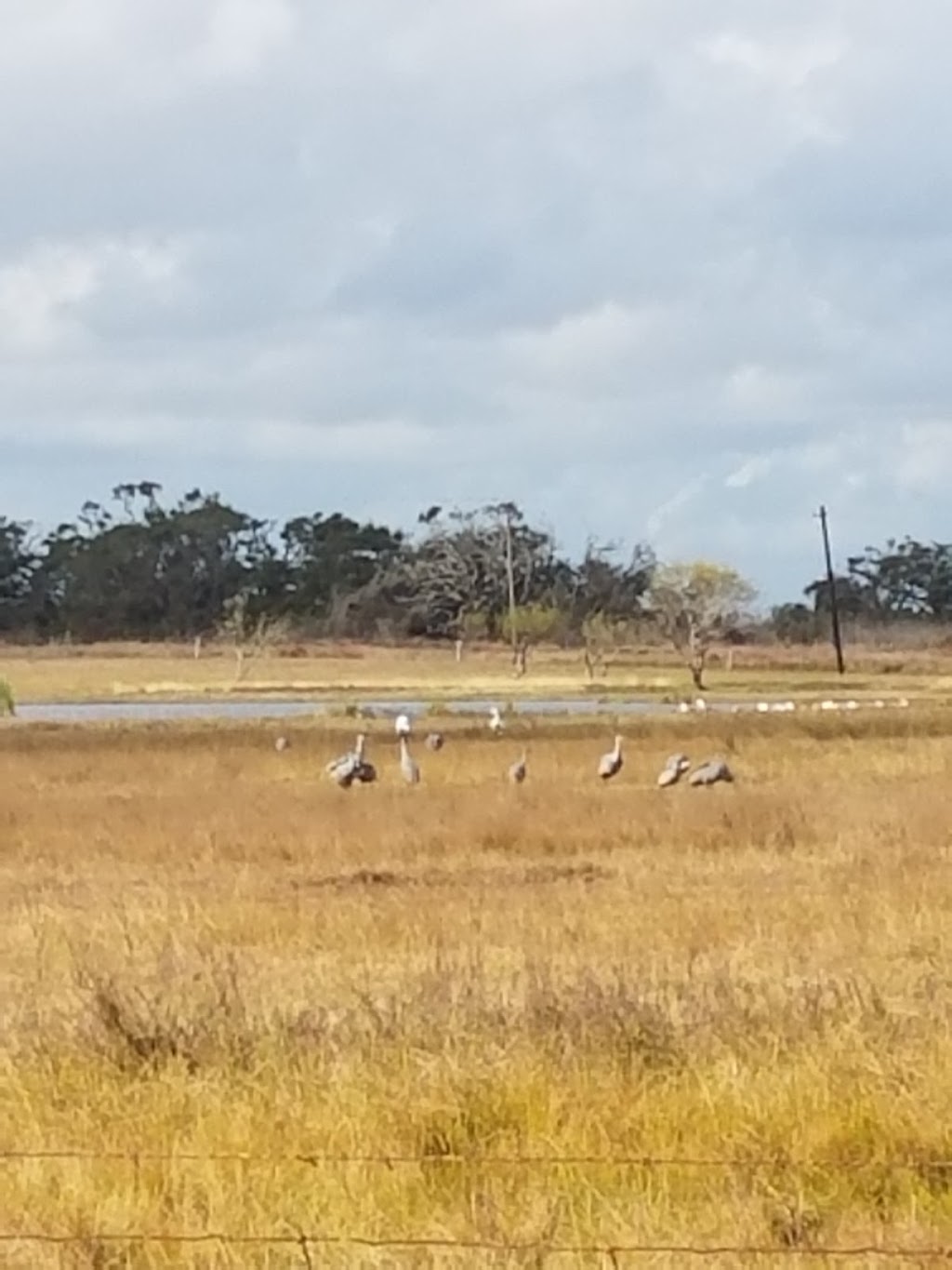 St Charles Bay Hunting Club | 234 Lamar Beach Rd, Rockport, TX 78382, USA | Phone: (361) 729-6461