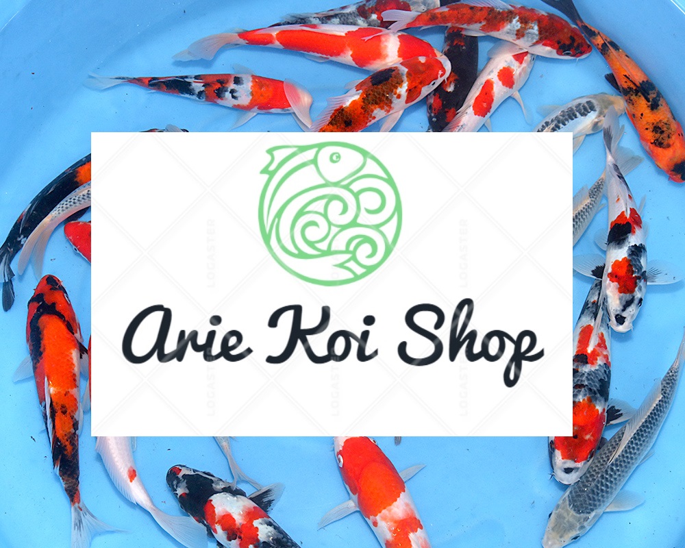 Arie Koi Shop | 6209 Runnymeade Dr, Canton, MI 48187, USA | Phone: (248) 225-1170