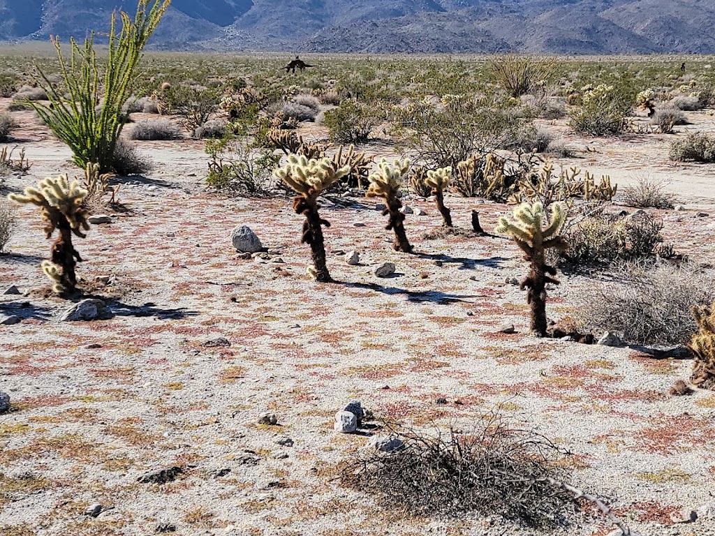 Sky Art Desert Sculpture Gardens | 652 Palm Canyon Dr, Borrego Springs, CA 92004, USA | Phone: (760) 767-5555