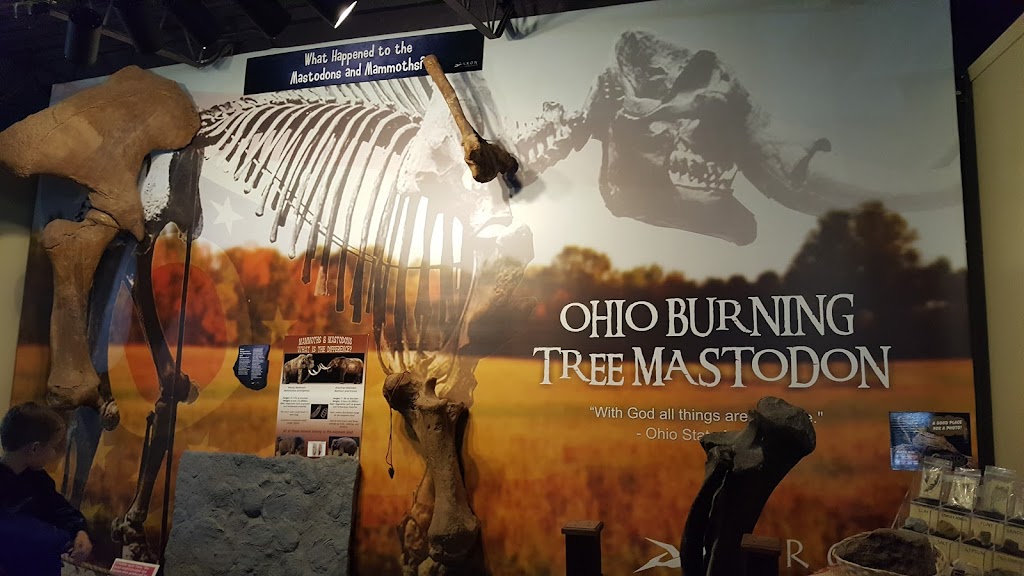 Akron Fossils & Science Center | 2080 S Cleveland Massillon Rd, Copley, OH 44321 | Phone: (330) 665-3466