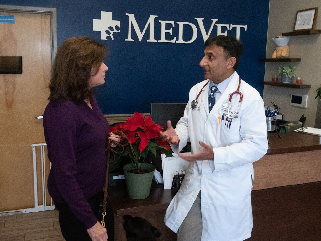 MedVet Silicon Valley | 7160 Santa Teresa Blvd, San Jose, CA 95139 | Phone: (408) 649-7070