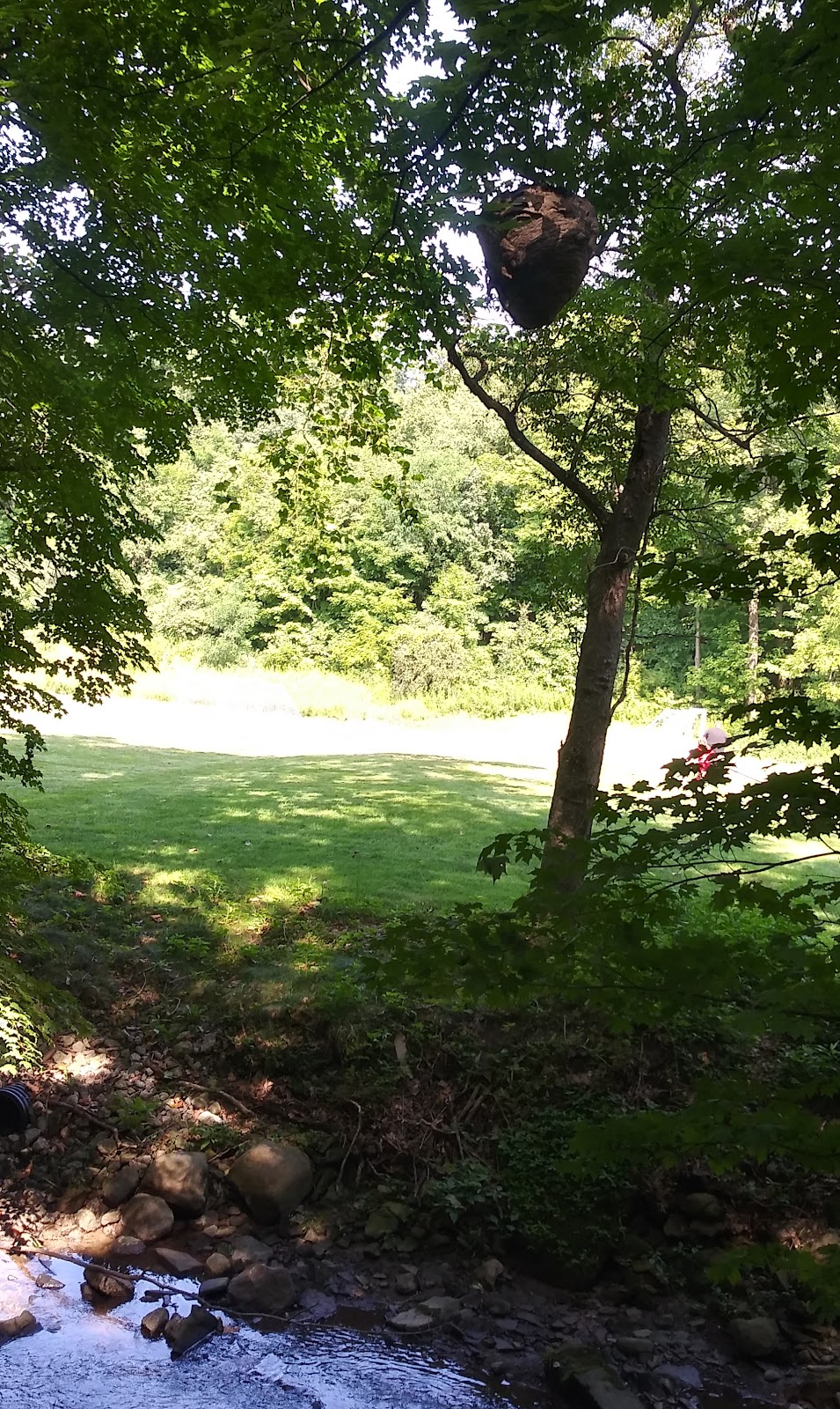 Liberty Park | Park Dr, Girard, OH 44420, USA | Phone: (330) 545-3306