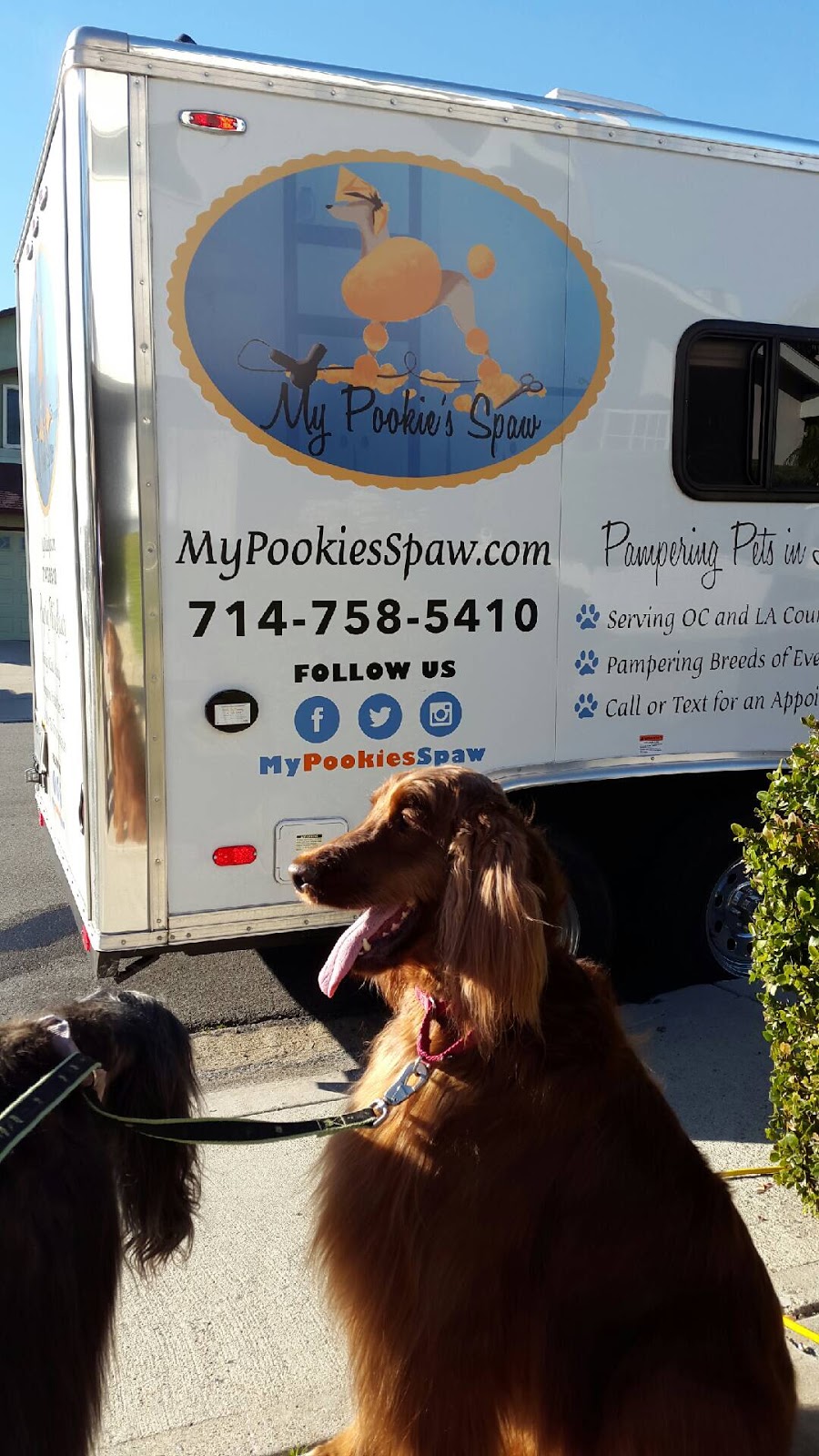 My Pookies Spaw | Mobile Grooming | 1421 N Wanda Rd Suite #120-V24, Orange, CA 92867, USA | Phone: (714) 628-6135