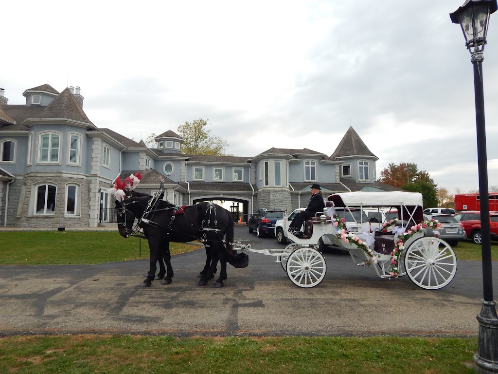 Horsing Round Carriage Service | 144 Dunbar Ohiopyle Rd, Dunbar, PA 15431, USA | Phone: (724) 277-0974