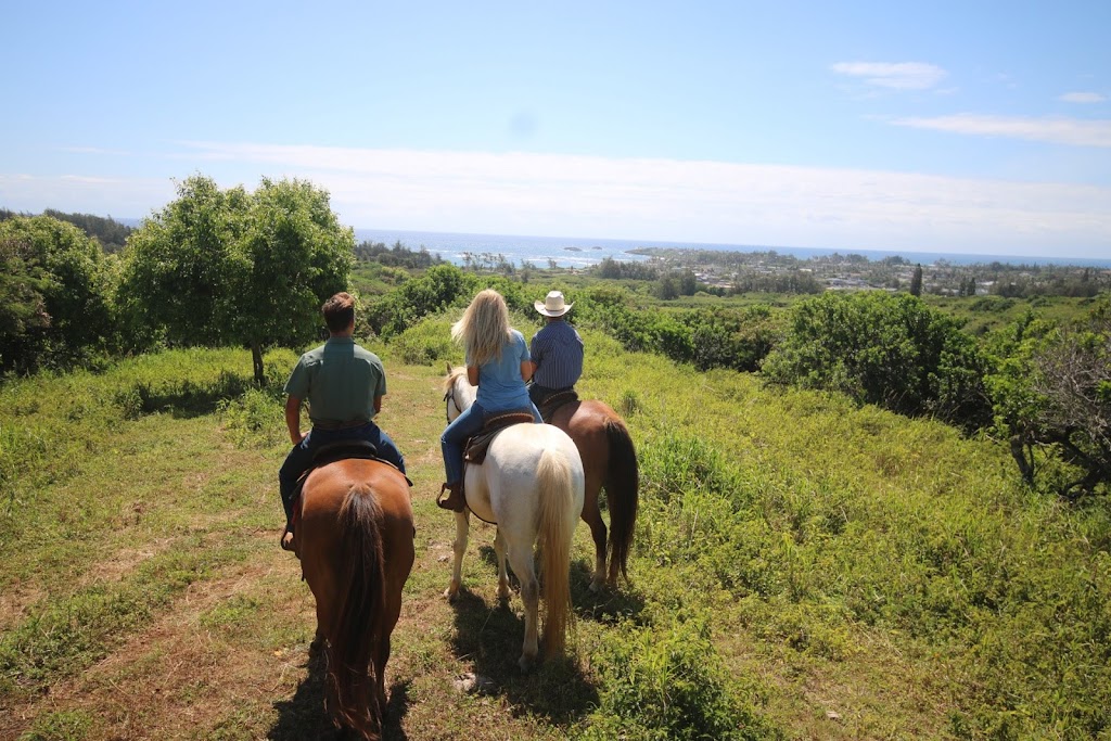 Gunstock Ranch | 56-250 Kamehameha Hwy, Kahuku, HI 96731, USA | Phone: (808) 341-3995