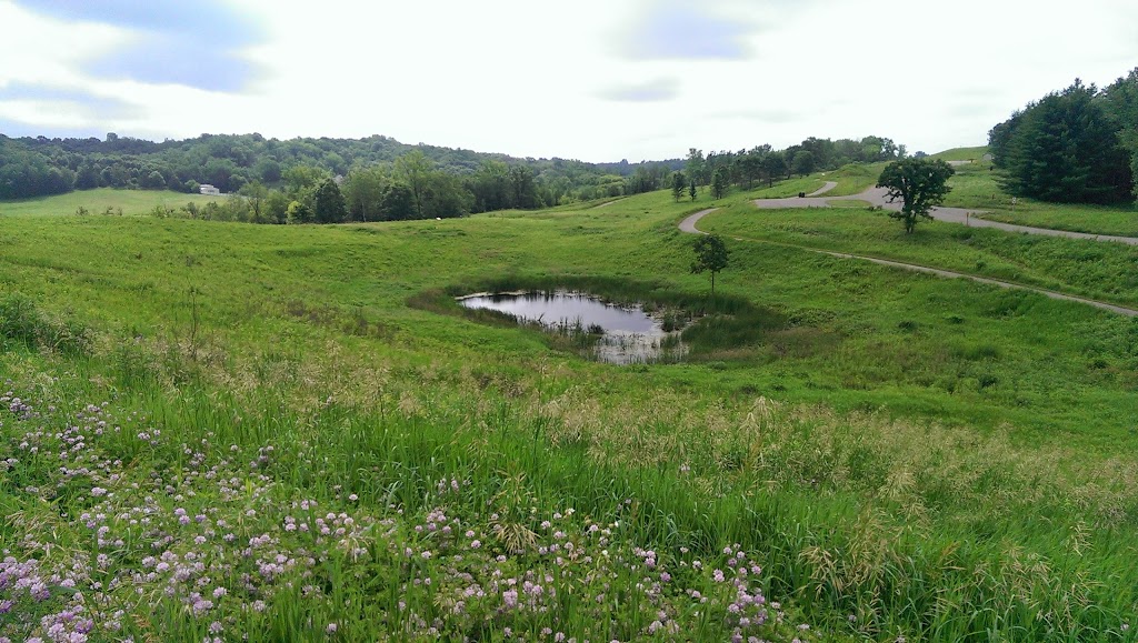 Homestead Parklands County Park | 550 Perch Lake Rd, Hudson, WI 54016, USA | Phone: (715) 381-4437