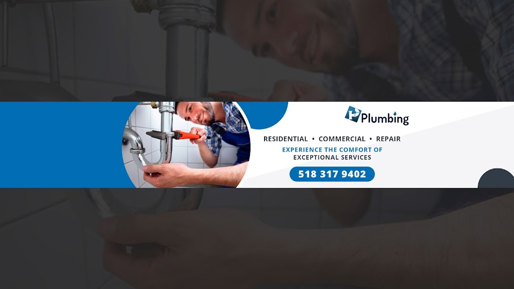 Next Emergency Plumber Pros | 1060 Broadway # 3005, Albany, NY 12204, USA | Phone: (518) 317-9402