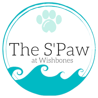 Wishbones Pet Boutique, Barkery & Spa | 2055 Washington St Unit 204, Hanover, MA 02339, USA | Phone: (339) 469-1962