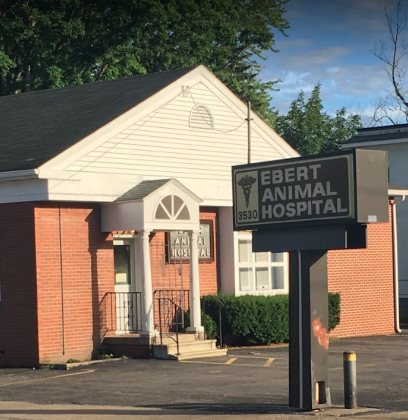 Ebert Animal Hospital | 3530 Southern Blvd, Youngstown, OH 44507, USA | Phone: (330) 788-5839