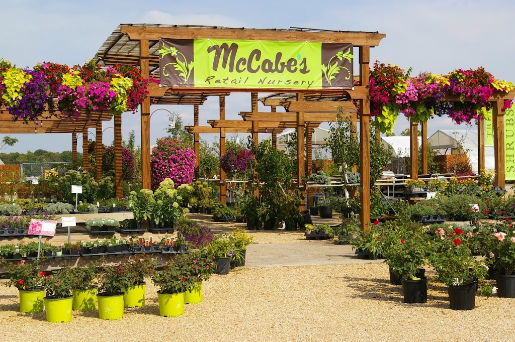 McCabes Greenhouse & Floral | 1066 W Eads Pkwy, Lawrenceburg, IN 47025, USA | Phone: (812) 537-4525