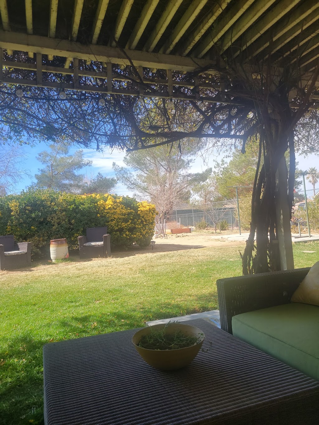 Cactus Moon Reiki | #1, Hesperia, CA 92345, USA | Phone: (909) 541-3852