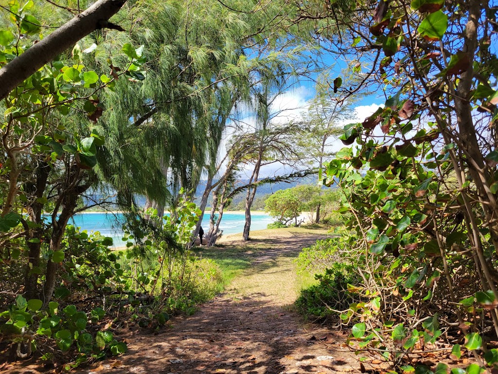 Mālaekahana State Recreation Area | 56-020 Kamehameha Hwy, Laie, HI 96762, USA | Phone: (808) 587-0300