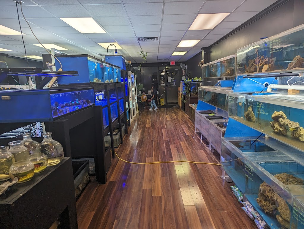 Oasis Aquatics | 915 County Rd 517, Hackettstown, NJ 07840, USA | Phone: (908) 441-2922