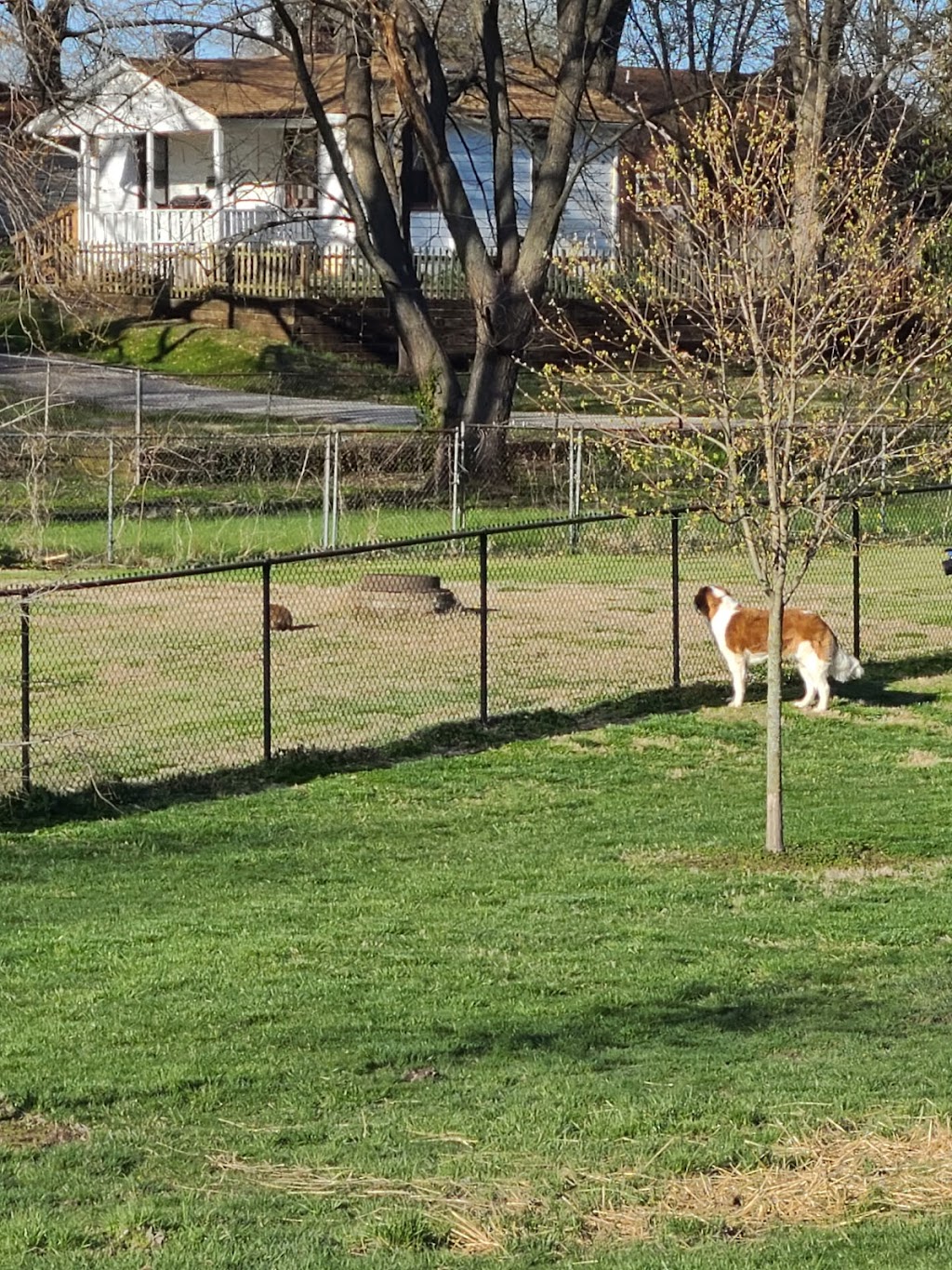 Rotary Dog Park (Member Only) | 110 N 6th St, Belleville, IL 62220 | Phone: (618) 233-1416