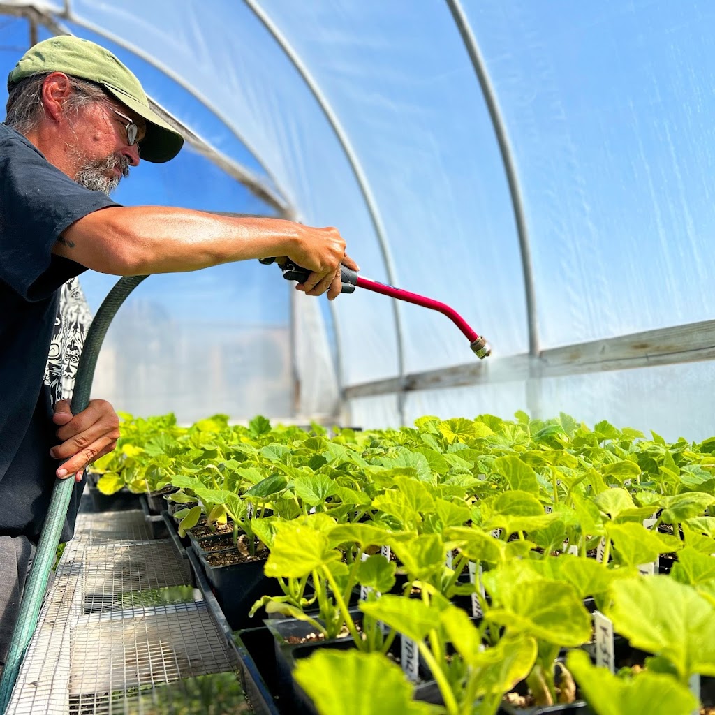 Natural Bridges Farm by Homeless Garden Project | Shaffer Rd, Santa Cruz, CA 95060, USA | Phone: (831) 426-3609