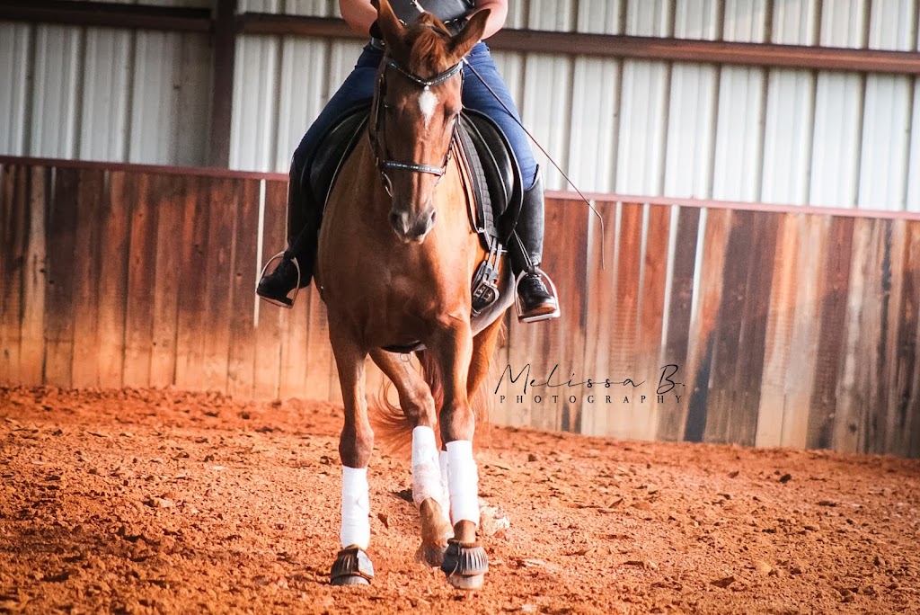 MC Equestrian LLC | 830 W Washington St, Purcell, OK 73080, USA | Phone: (918) 899-8150