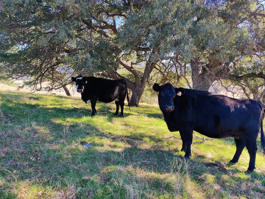 Ramona Grasslands Preserve | Highland Valley Rd, Ramona, CA 92065, USA | Phone: (760) 788-3326