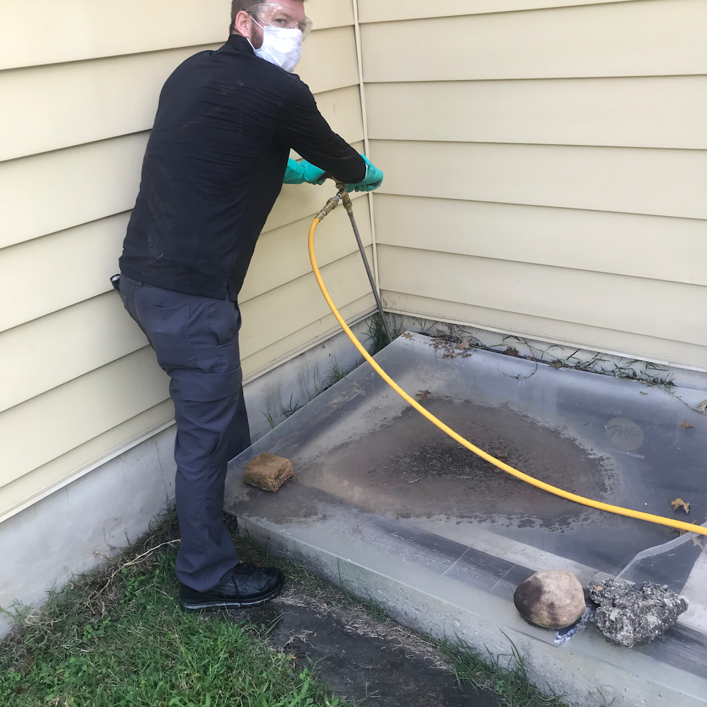 Rossi Pest Services | 8419 Thames St, Springfield, VA 22151, USA | Phone: (571) 214-7874