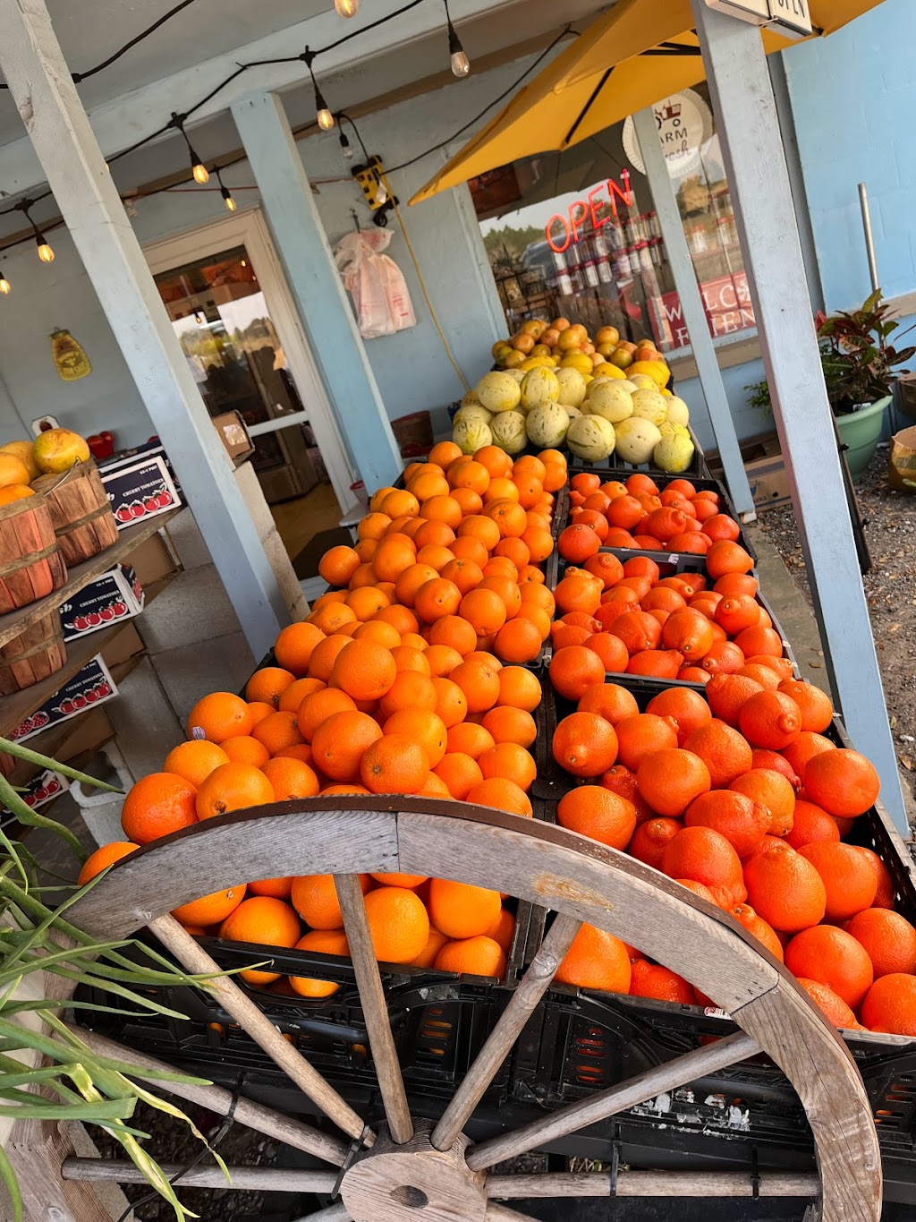 Laniers Produce | 20915 US Hwy 27, Groveland, FL 34736, USA | Phone: (352) 267-0454