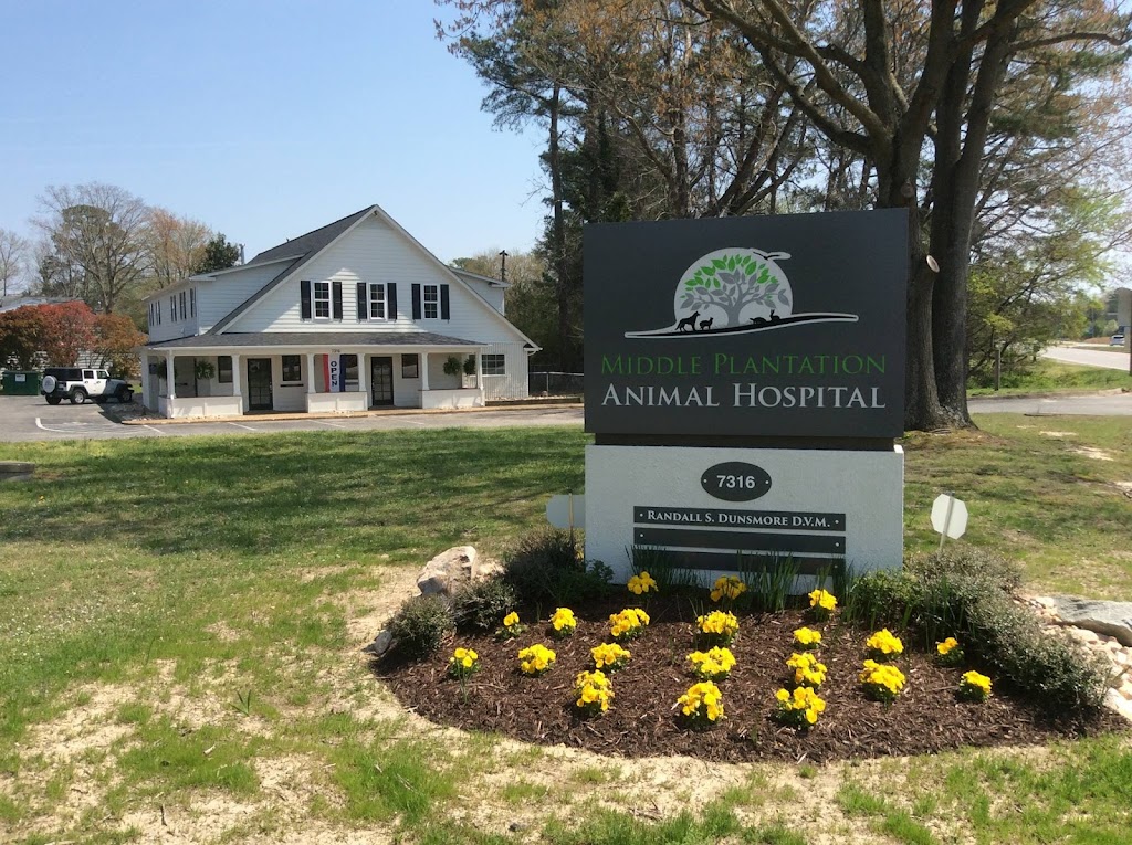 Middle Plantation Animal Hospital | 7316 Merrimac Trail, Williamsburg, VA 23185, USA | Phone: (757) 345-6566