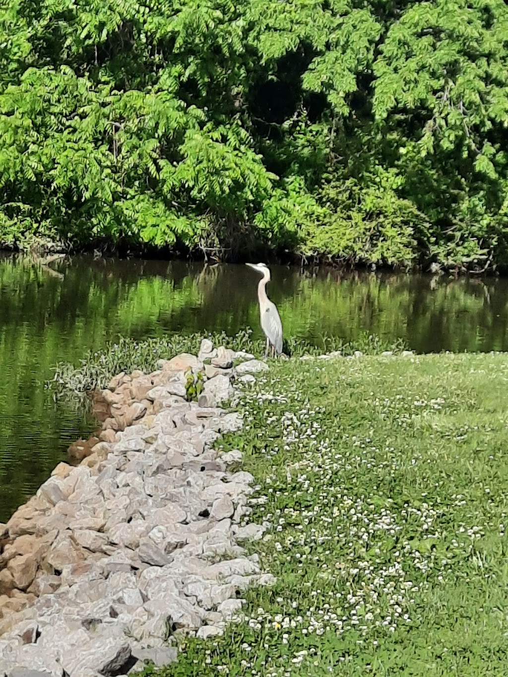 Lock A Campground | 1797 Cheatham Dam Rd, Ashland City, TN 37015, USA | Phone: (615) 792-3715