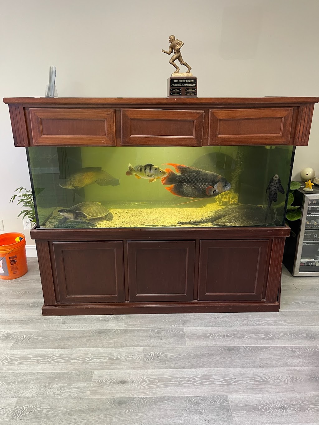 JK-Fish | 1152 NJ-10 #5, Randolph, NJ 07869, USA | Phone: (973) 919-9199