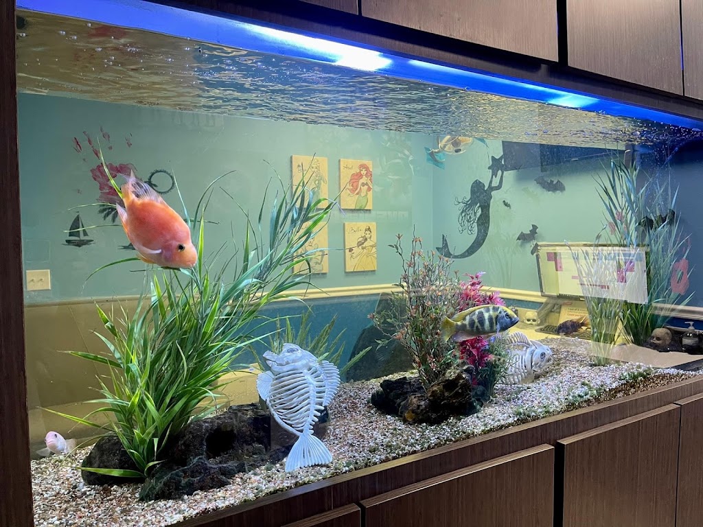 Marina Dental | 3705 E Rosedale St #141, Fort Worth, TX 76105, USA | Phone: (817) 534-3777