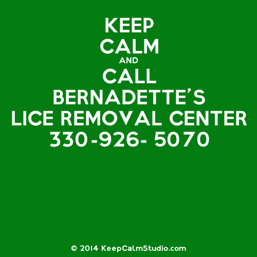 BERNADETTES LICE REMOVAL CENTER | 651 E Cuyahoga Falls Ave, Akron, OH 44310, USA | Phone: (330) 926-5070