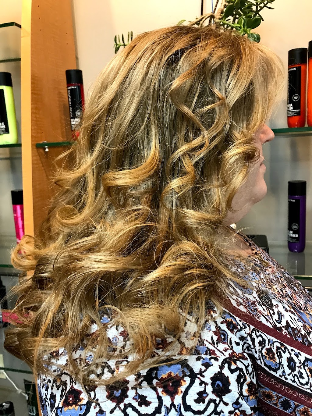Angel Hair by Lisa Garber | 1231 Eastchester Dr High Point NC 27265 Inside, Salons By JC, High Point, NC 27265, USA | Phone: (704) 526-9867