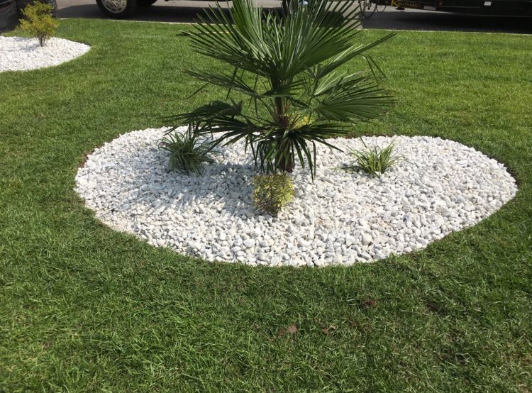 Dannys landscaping service | 1018 N Gloucester St, Irving, TX 75062, USA | Phone: (832) 708-0214