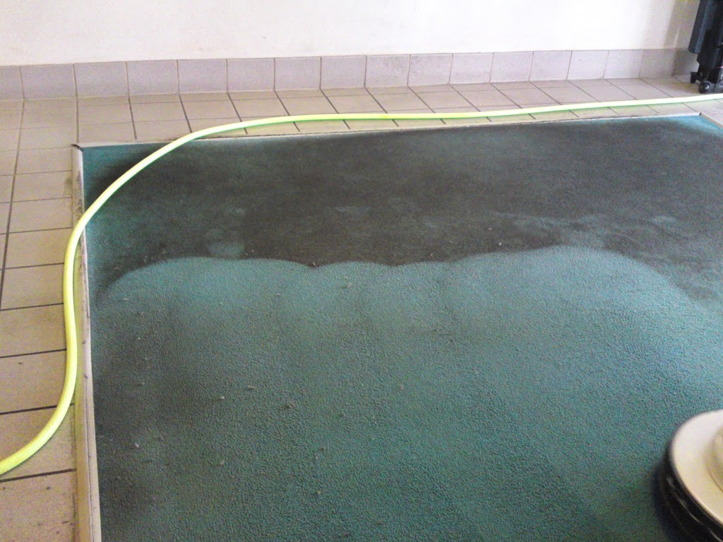 Gershs Carpet Cleaning Inc | 985 IN-124, Monroe, IN 46772, USA | Phone: (260) 692-6366