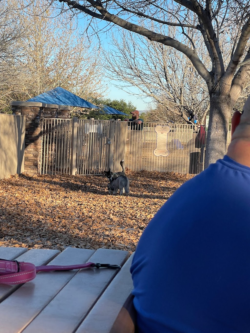Bark Park | 15475 S Rancho Sahuarita Blvd, Sahuarita, AZ 85629, USA | Phone: (520) 207-7730