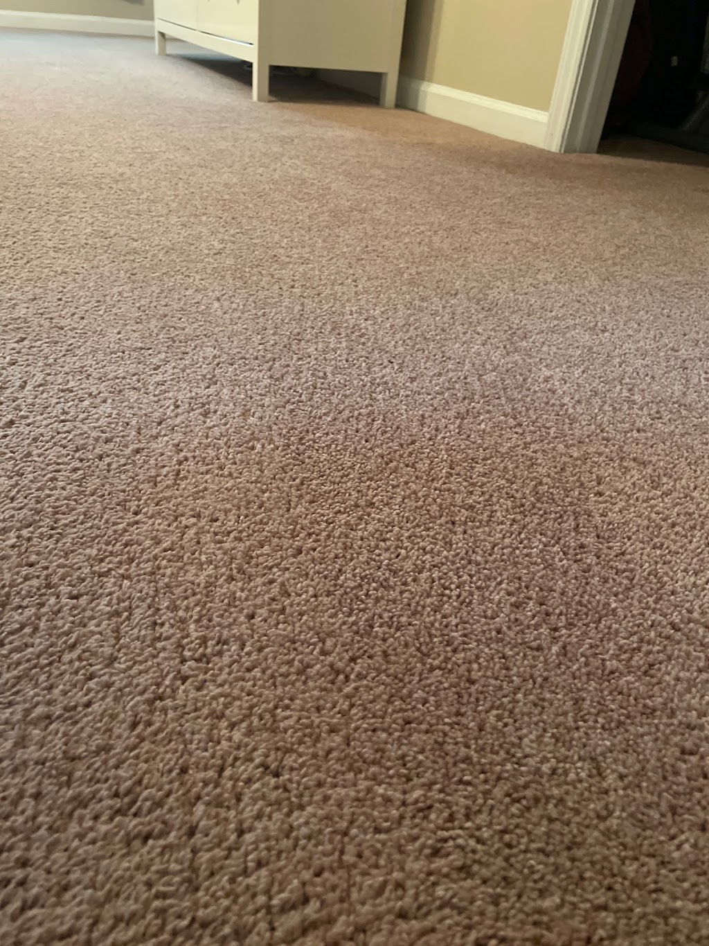 Blueagle Carpet Cleaning | 1416 Thornwell Ave, Rock Hill, SC 29732, USA | Phone: (803) 980-3007