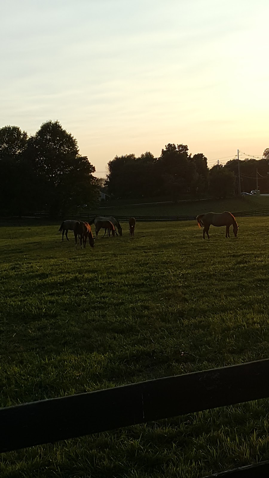 Rock Springs subdivision | 5109 Rock Bluff Dr, Louisville, KY 40241, USA | Phone: (502) 425-4899