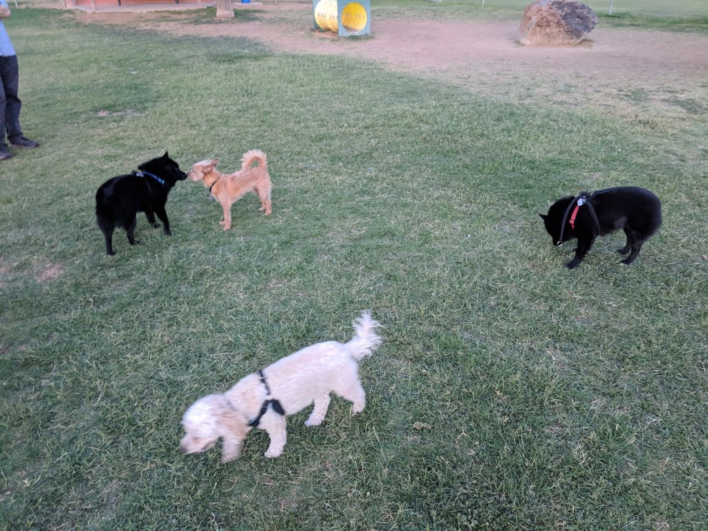 Sahuaro Ranch Dog Park | 9901 N 63rd Ave, Glendale, AZ 85302, USA | Phone: (623) 930-2820