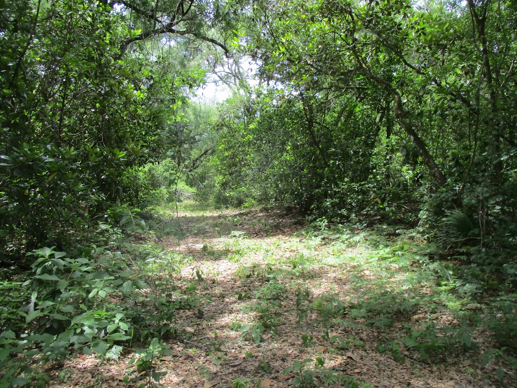 Lake Marion Creek Horseshoe Scrub Tract | Davenport, FL 33837, USA | Phone: (561) 686-8800