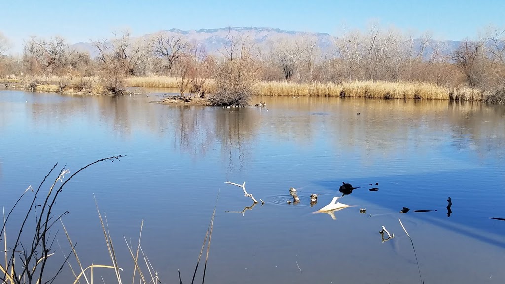 Rio Grande Nature Center State Park | 2901 Candelaria Rd NW, Albuquerque, NM 87107, USA | Phone: (505) 344-7240