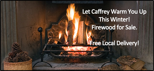 Caffrey Tree & Landscape | 2600 Route 22 East, Scotch Plains, NJ 07076, USA | Phone: (908) 889-6584