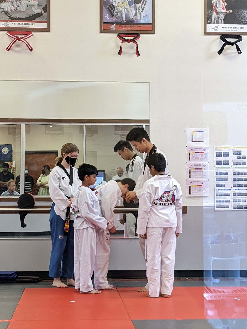 White Tiger Taekwondo | 15922 Eldorado Pkwy #300, Frisco, TX 75035, USA | Phone: (469) 252-1833