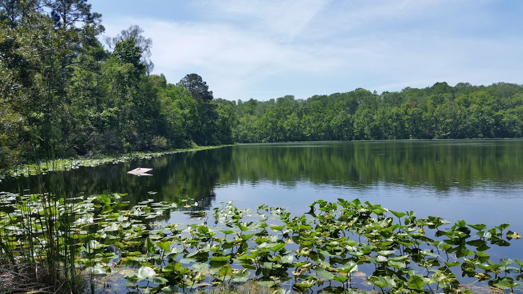 University Of North Florida Nature Trails | Recreation and Wellness, 1 UNF Dr. Bldg 61, Rm 1200, Jacksonville, FL 32224, USA | Phone: (904) 620-4769