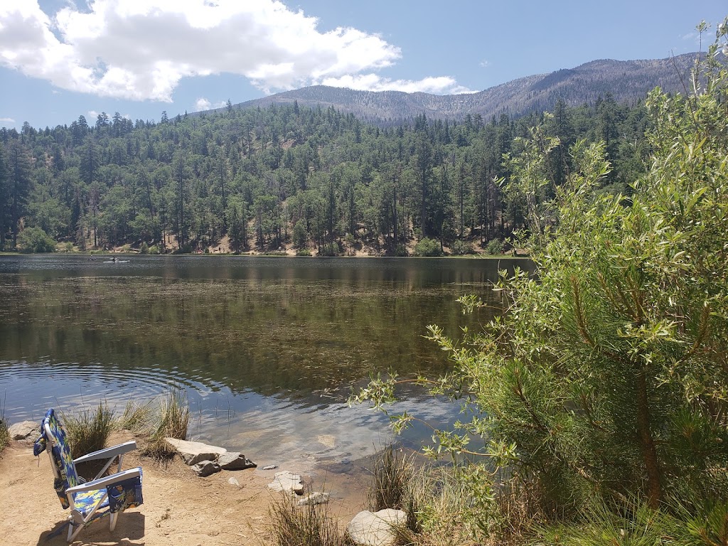 Barton Flats Campground | CA-38, Angelus Oaks, CA 92305, USA | Phone: (877) 444-6777